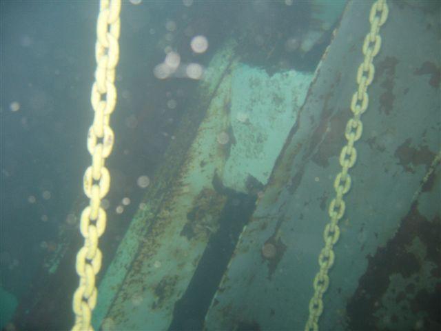 TexasClipper132