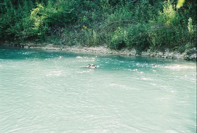 The Dive Platform