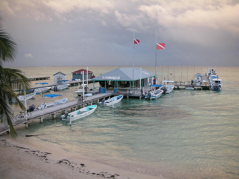 the dive shop