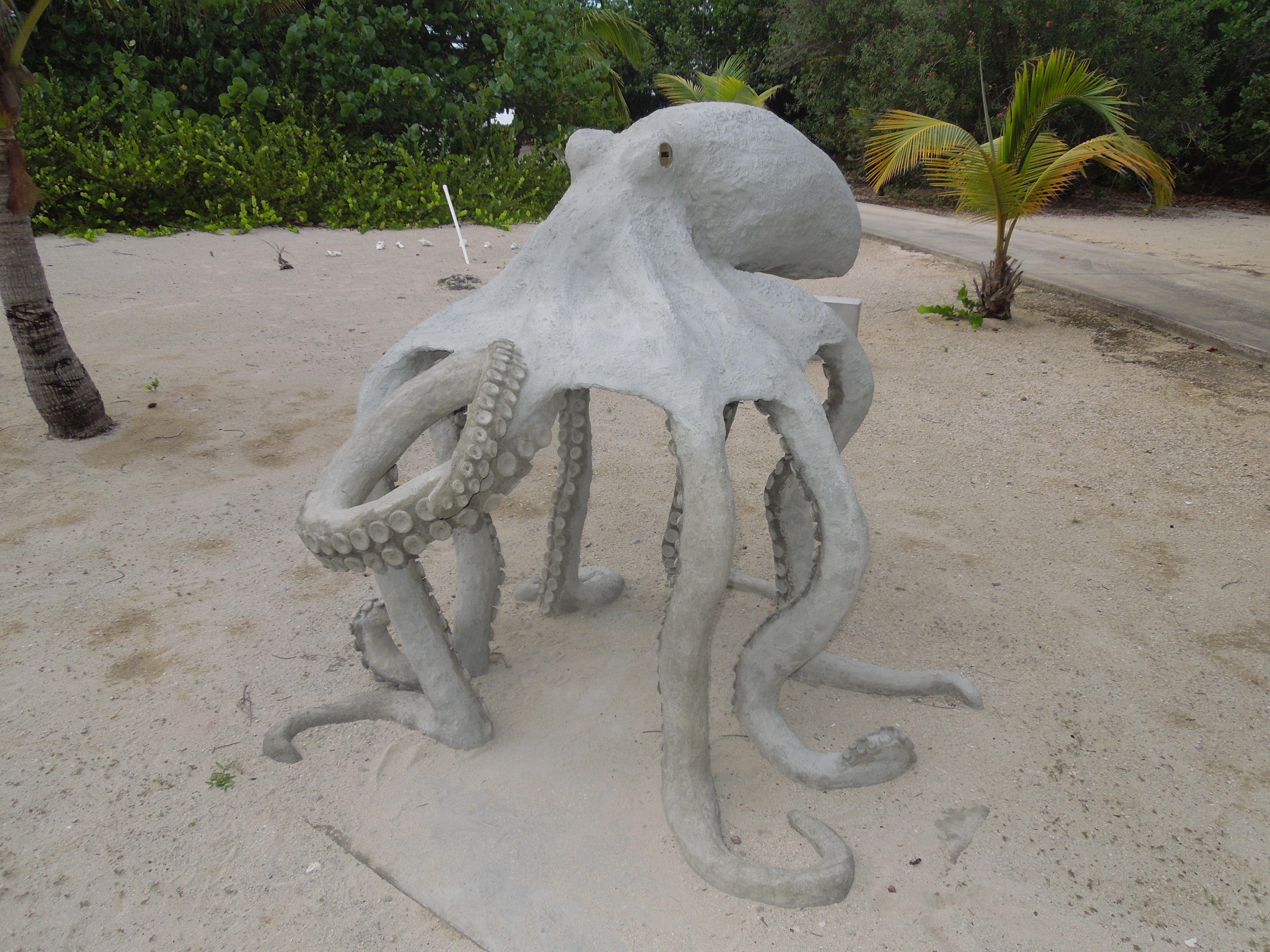 the rare concrete landopus