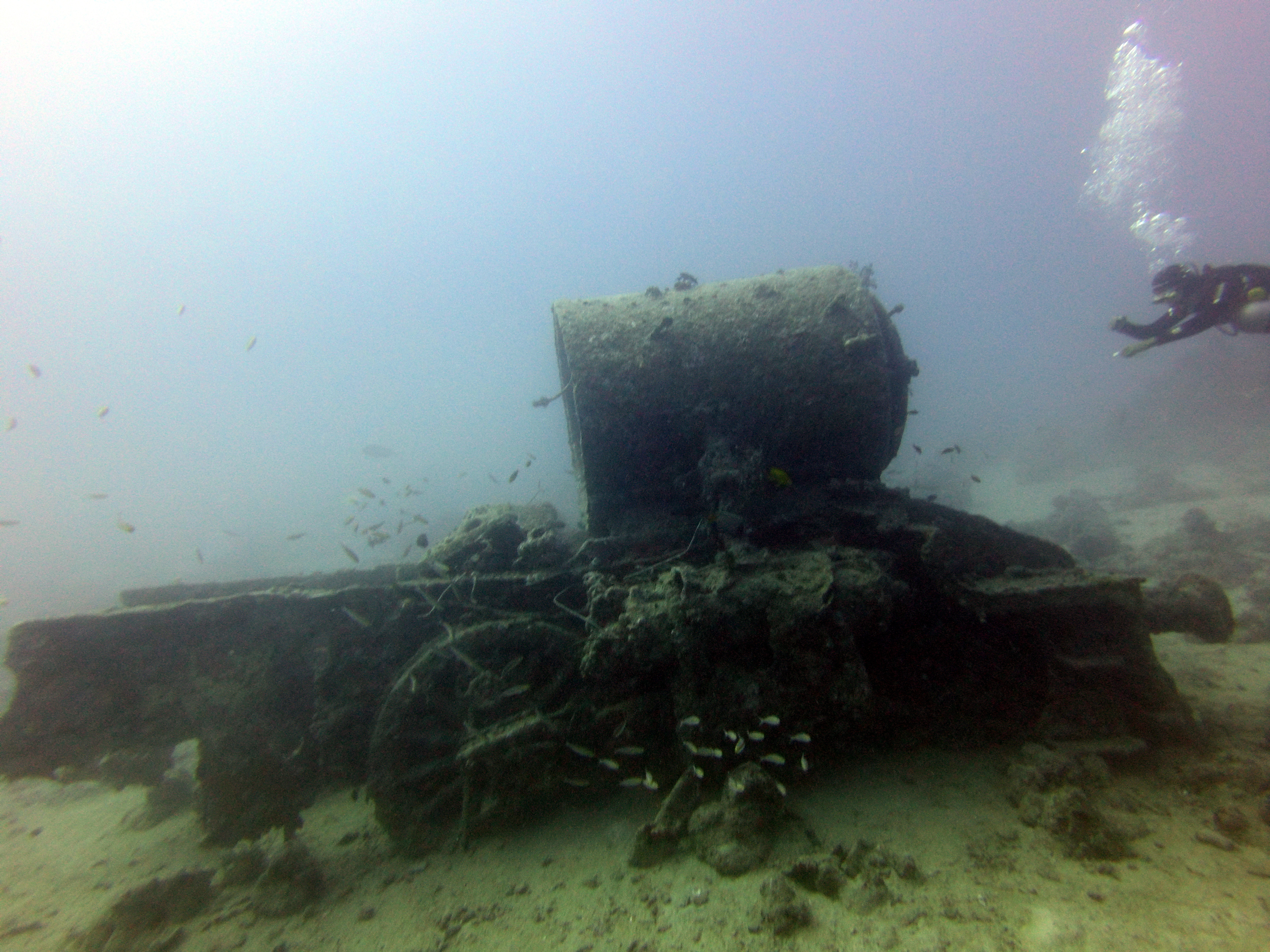 Thistlegorm