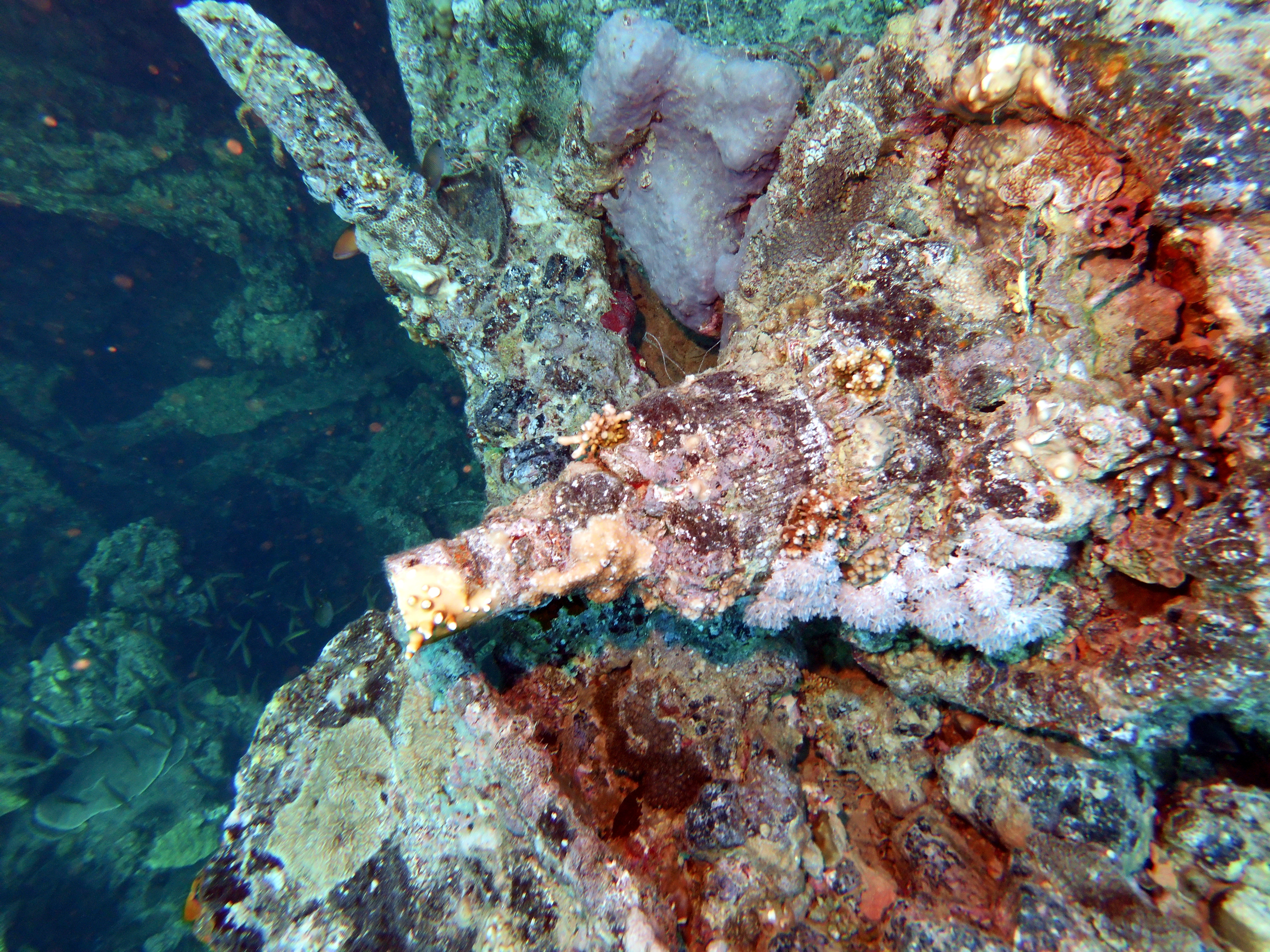 Thistlegorm