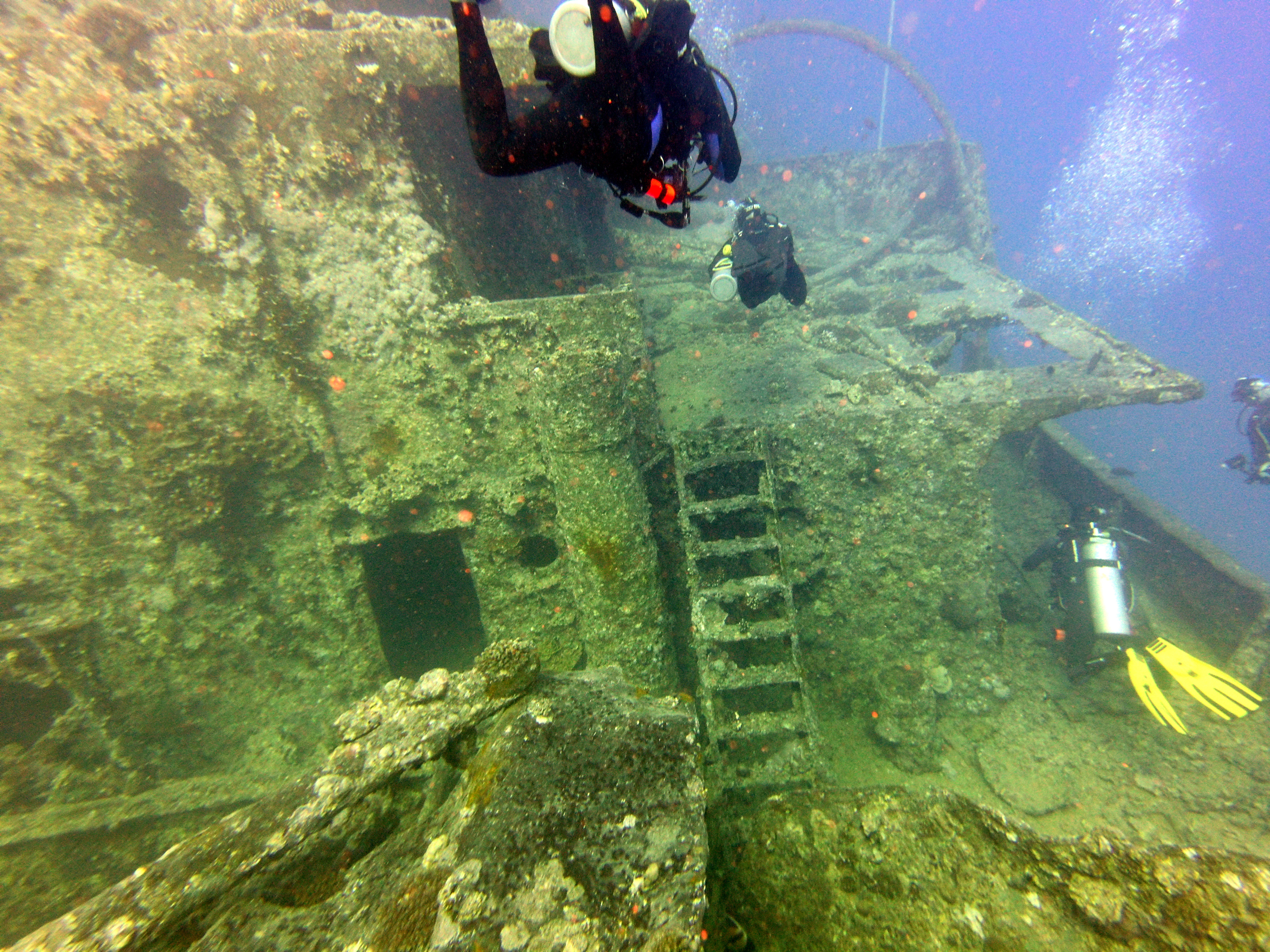 Thistlegorm