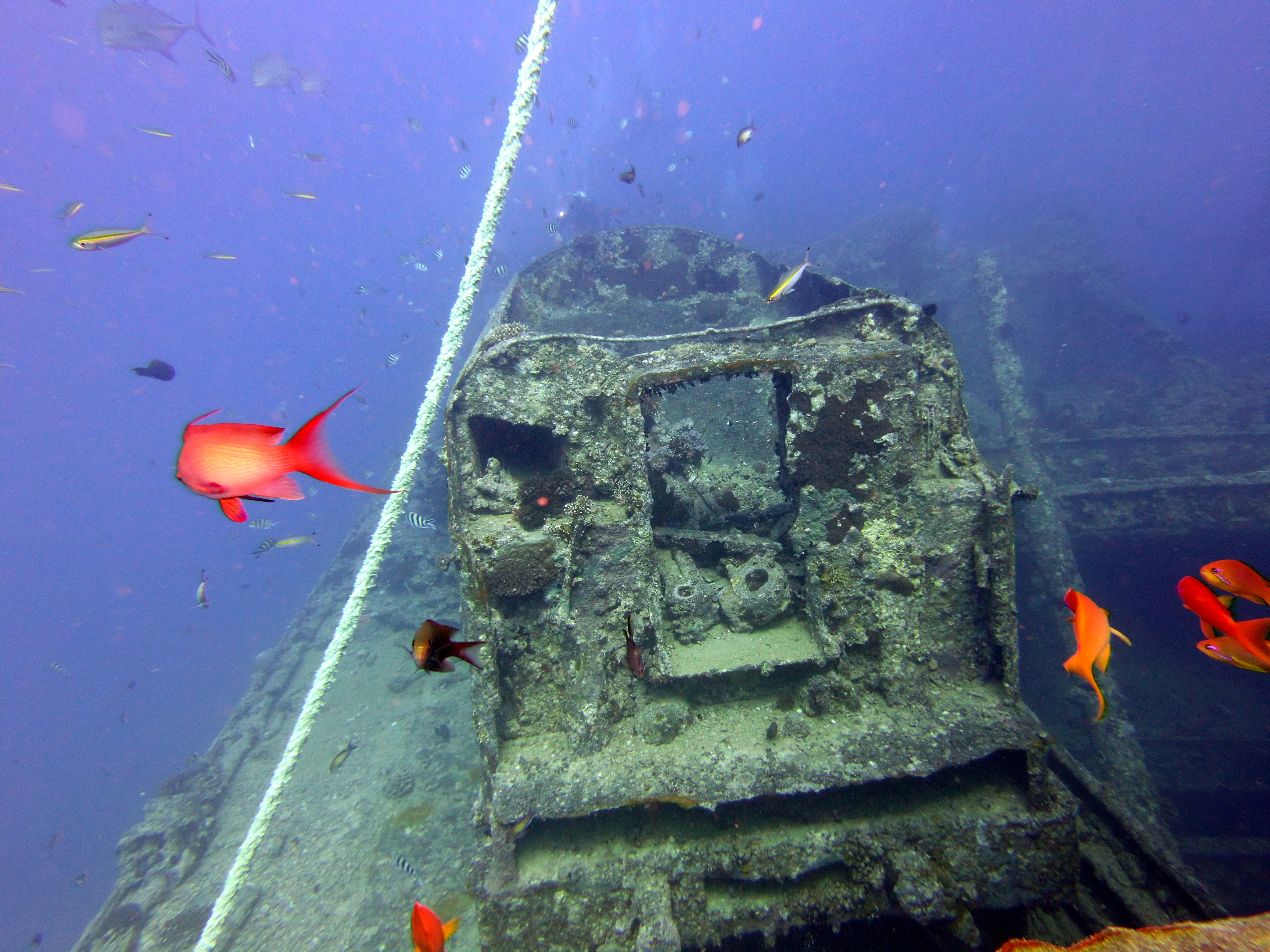 Thistlegorm