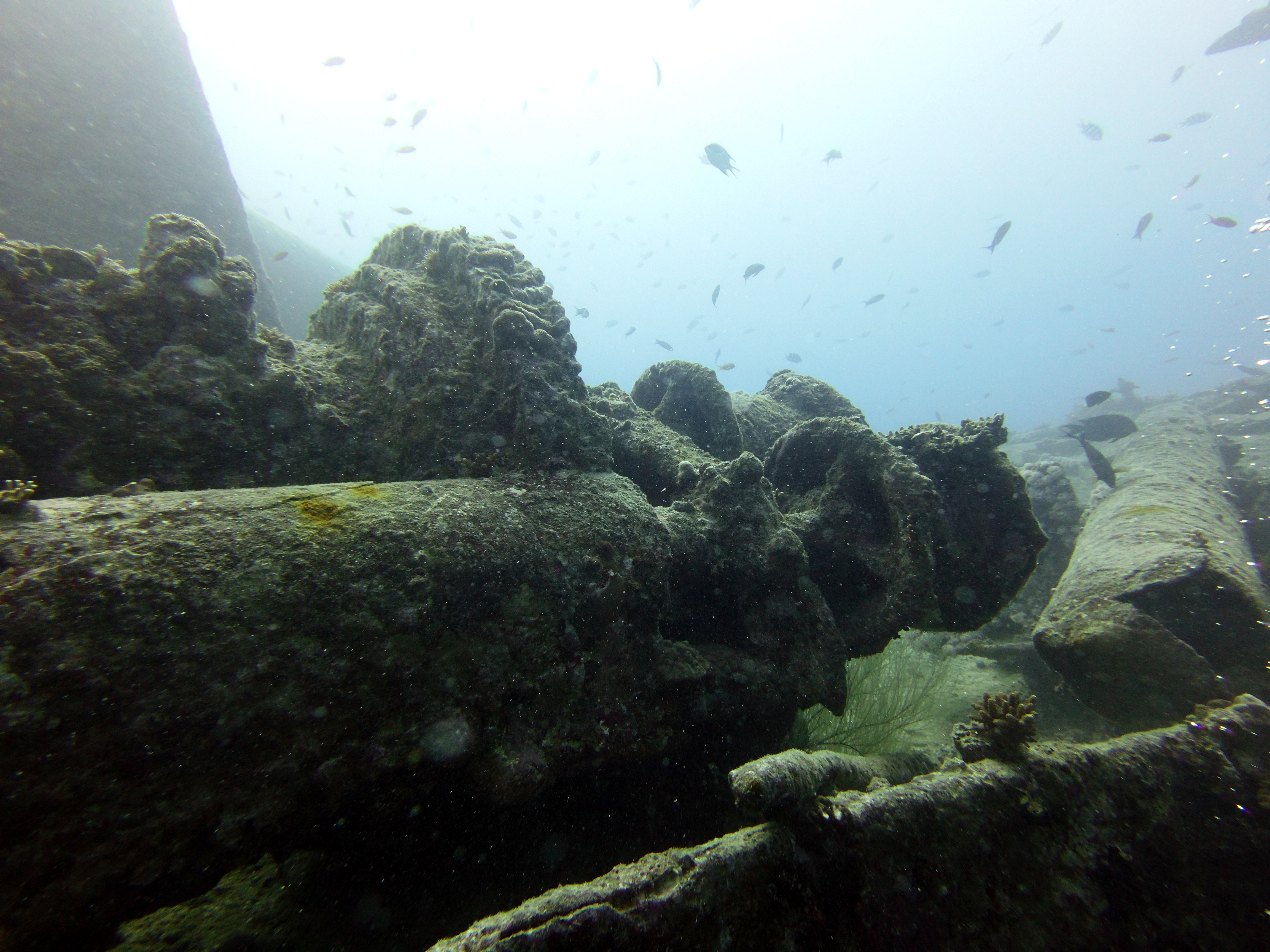 Thistlegorm