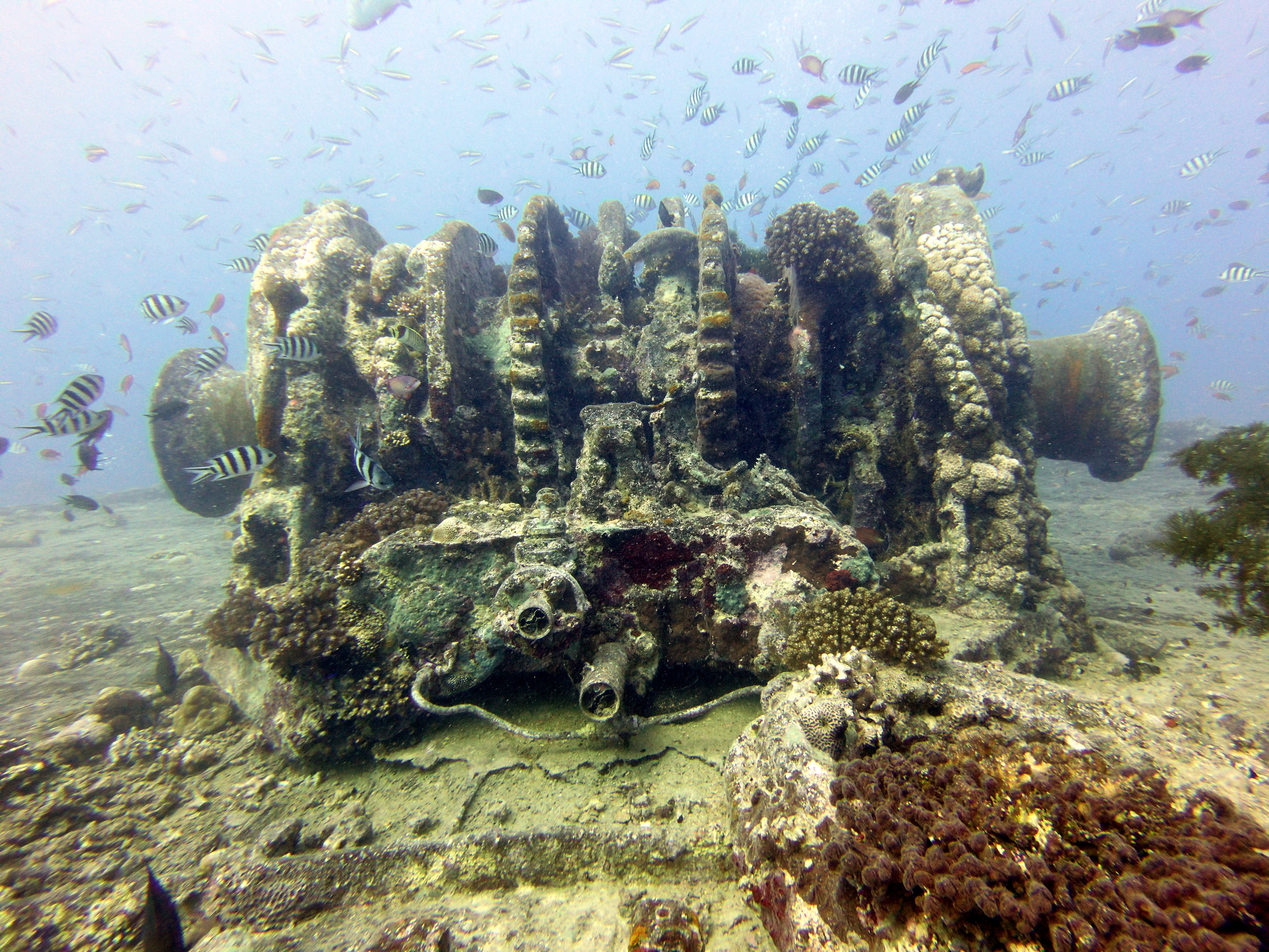 Thistlegorm