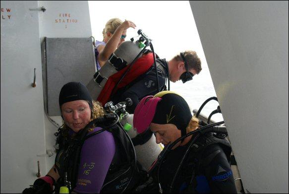 Time to Dive