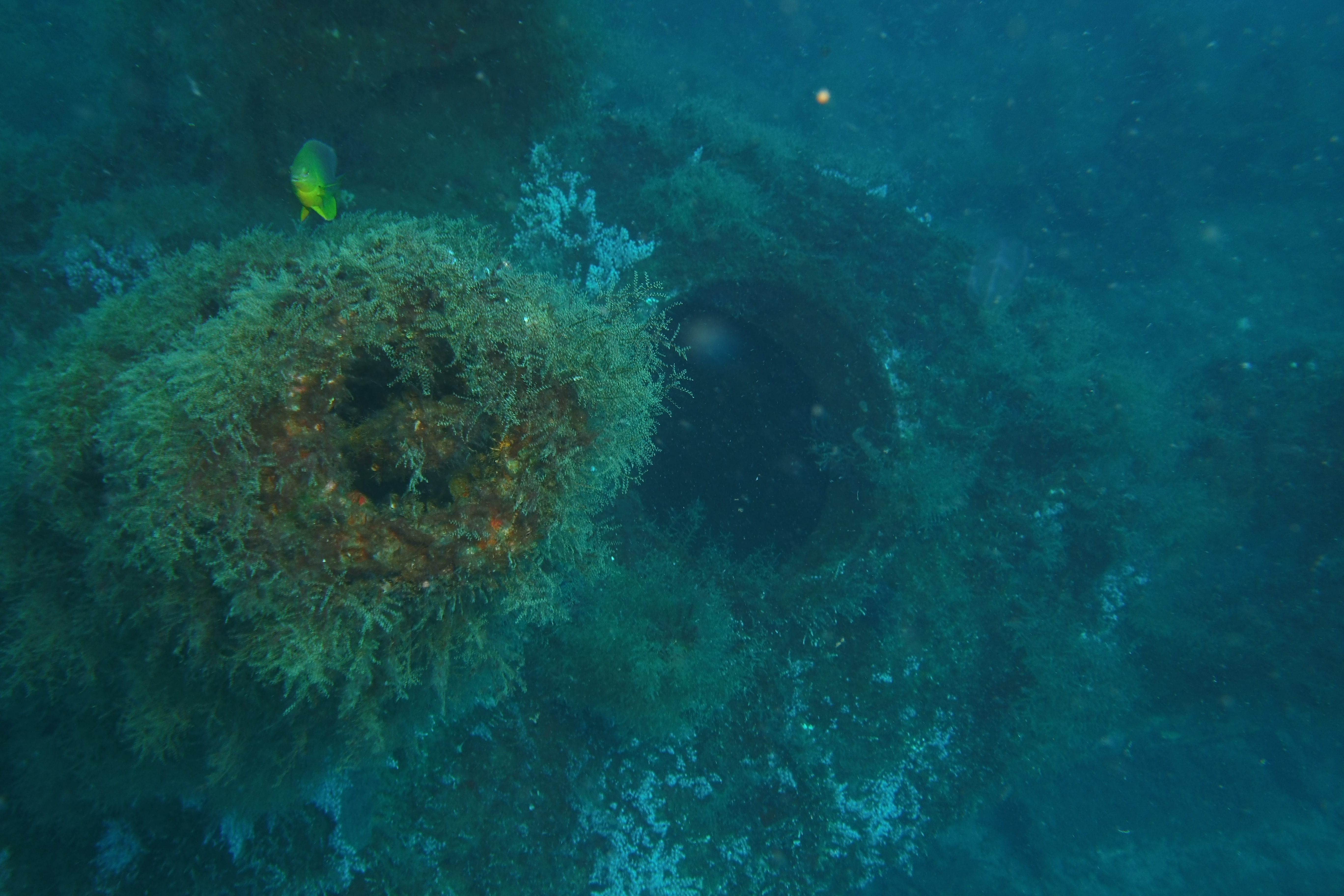 U-352 submarine hatch