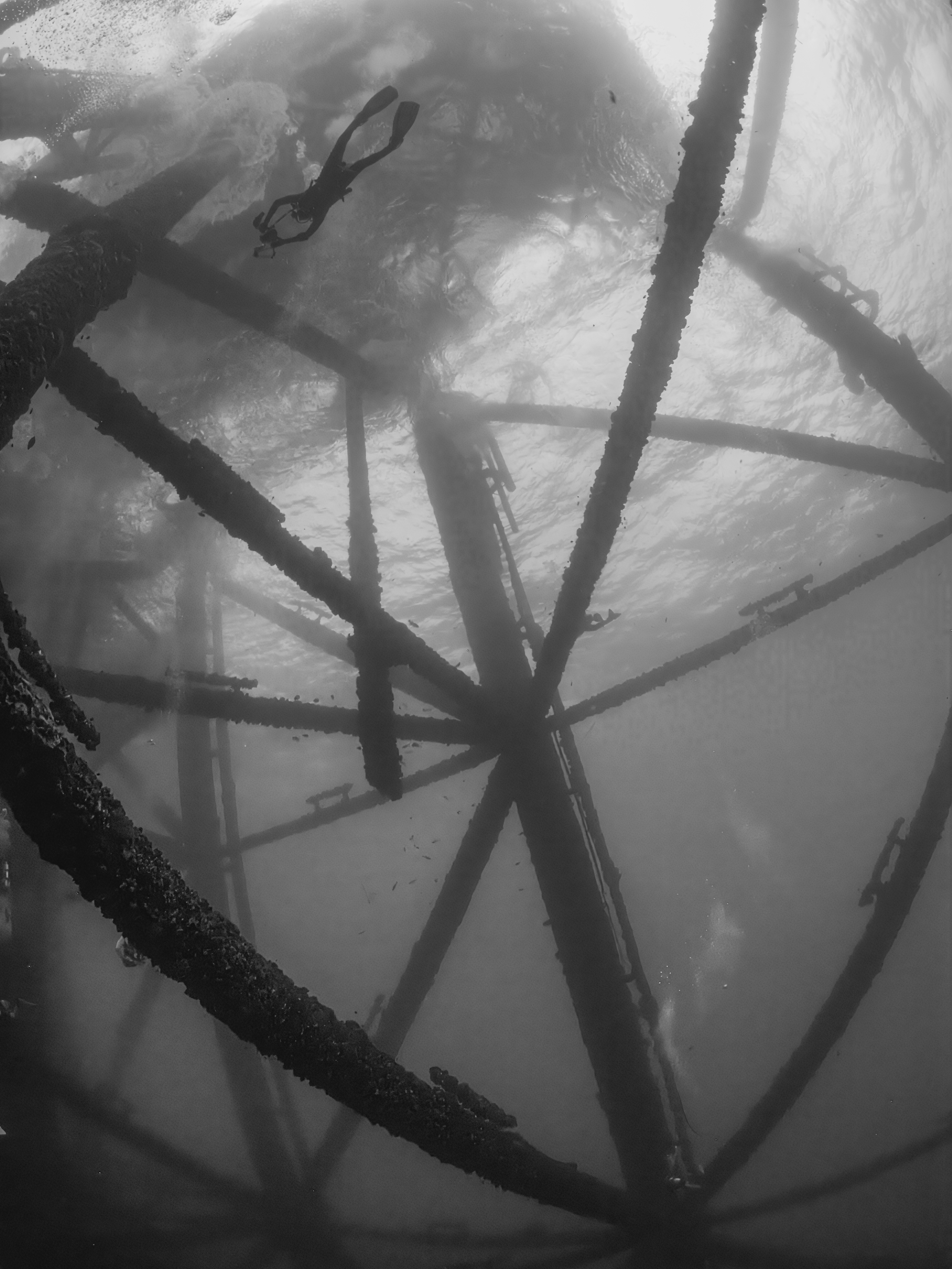 underwater jungle gym