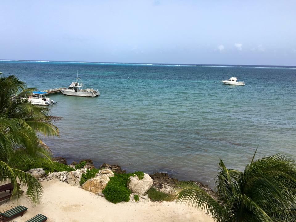 View from the condos