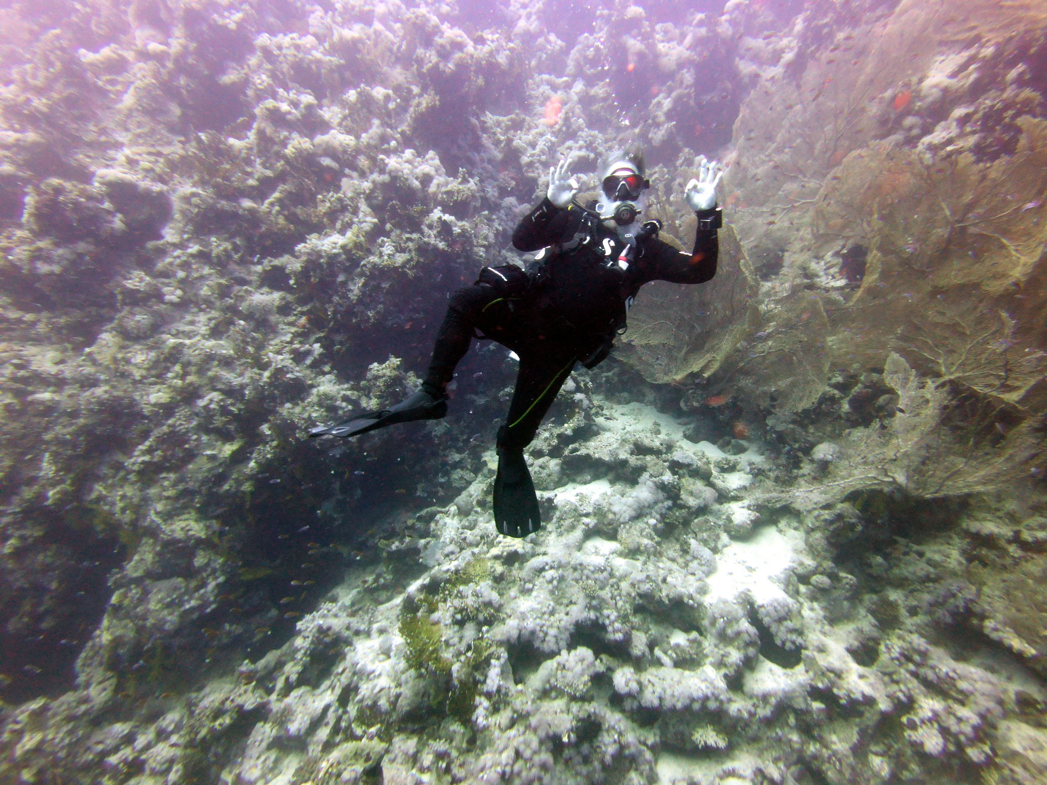VikingDiver at Ras Umm Sid