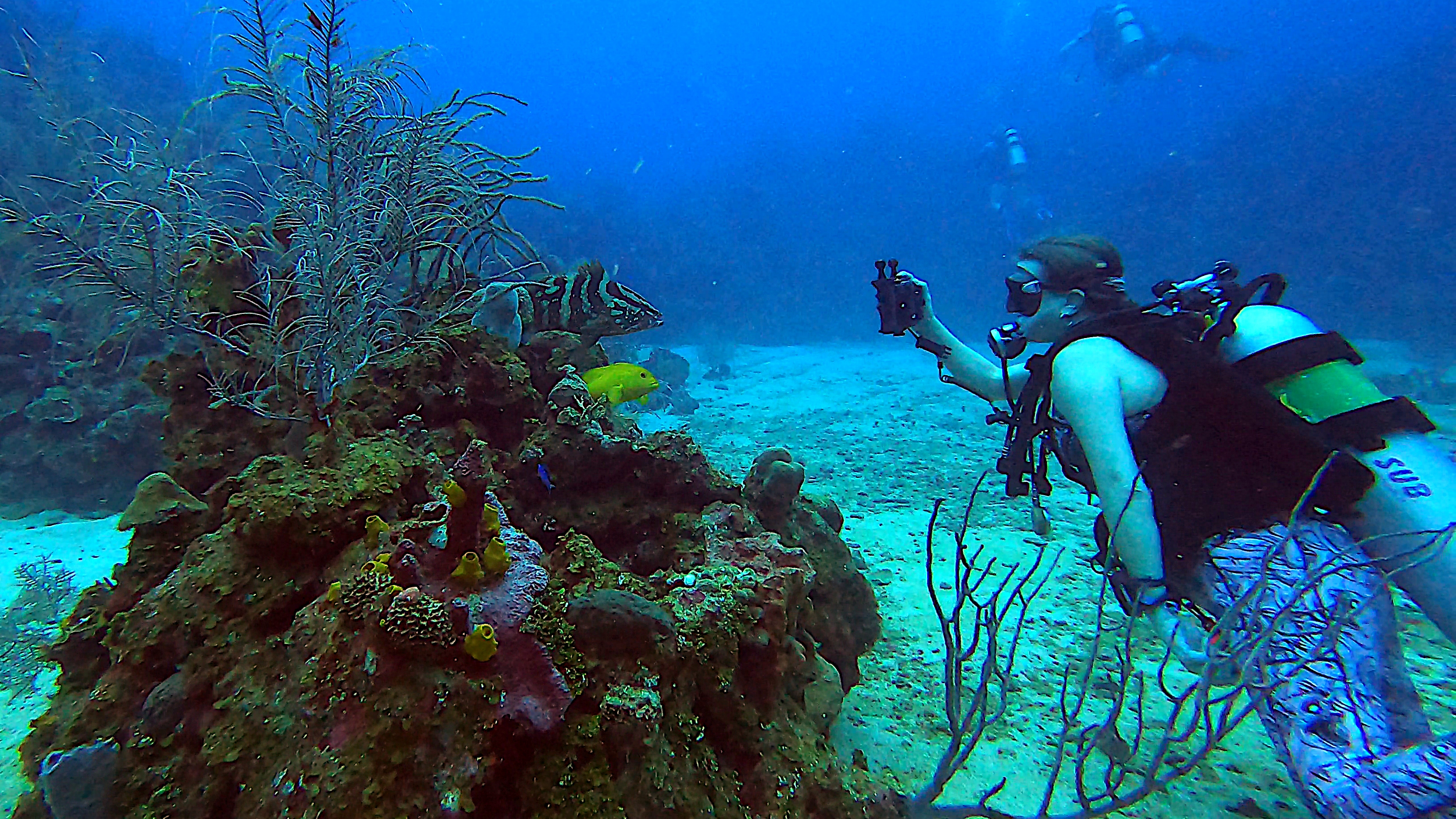 watermonkee taking photos